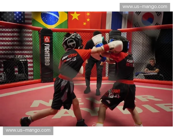 综合格斗社区：在汗水里相遇，在热爱中成长